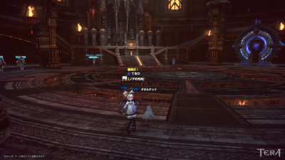 TERA_ScreenShot_20131106_060943.png